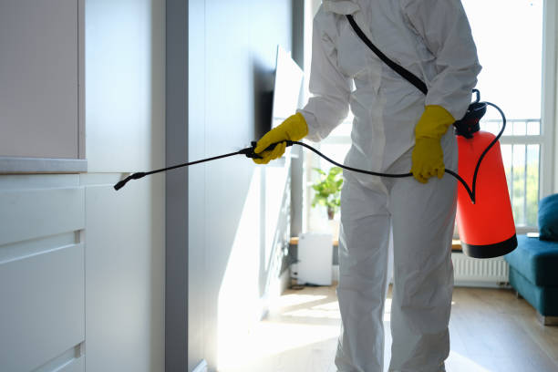 Best Mold Removal Specialists  in Totowa, NJ